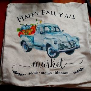 Set of 4 canvas pillow covers EUC